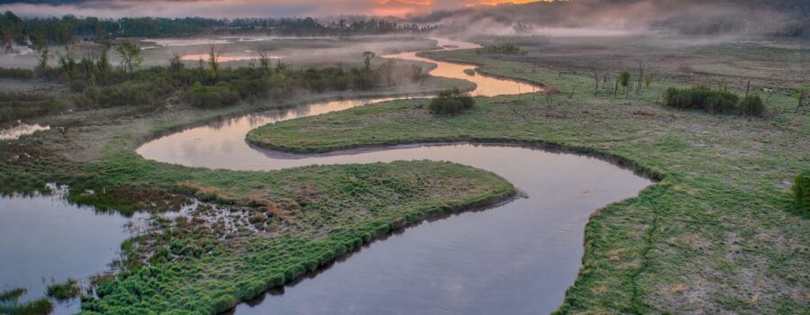 Lessons in Management from a River