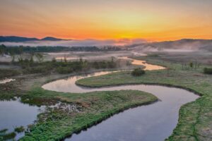 Lessons in Management from a River