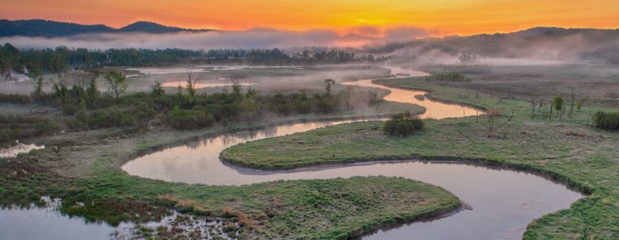 Lessons in Management from a River